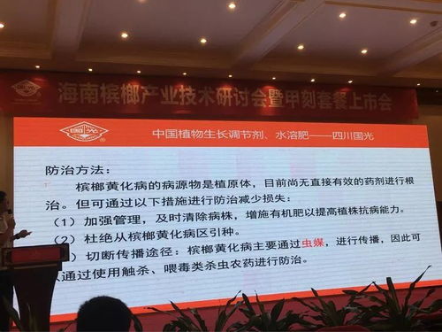 創(chuàng)新共贏 2018檳榔產(chǎn)業(yè)技術(shù)研討交流會——技術(shù)推廣服務(wù)賦能產(chǎn)業(yè)升級